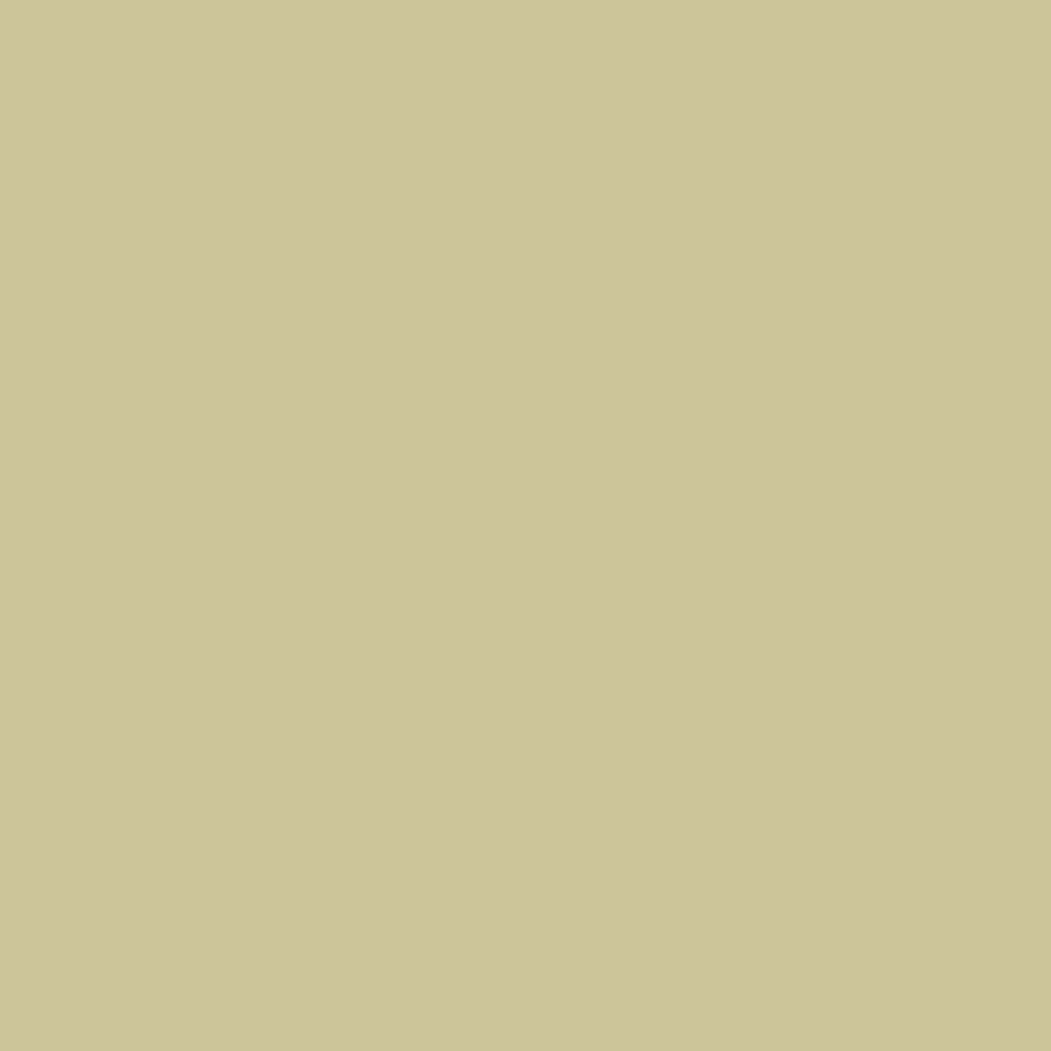 web_project-platzhalter_paleolive_square