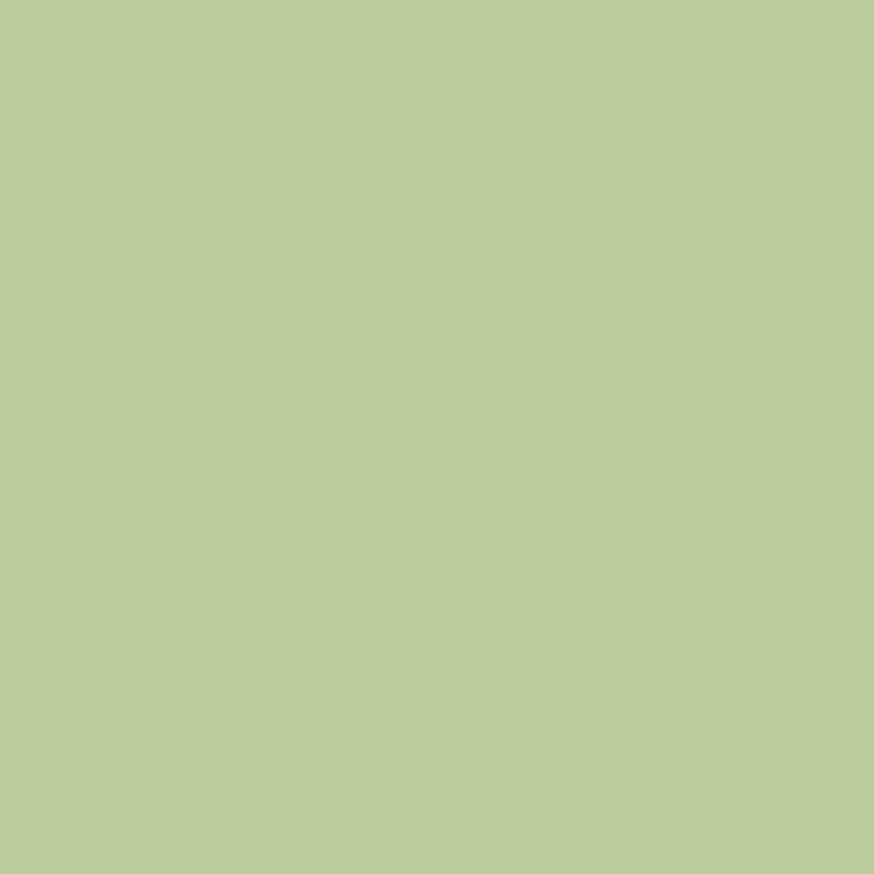 web_project-platzhalter_olive_square