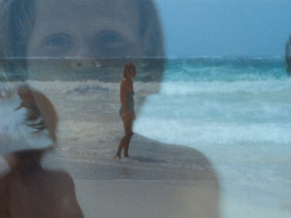 jackie-the-wolf-archives-beach-2-1