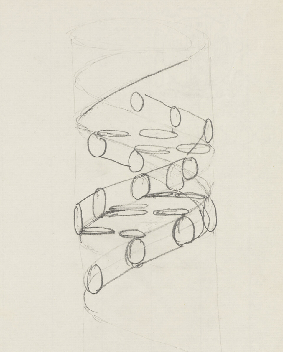 franciscrick_firstsketch_dnadoublehelix_crop