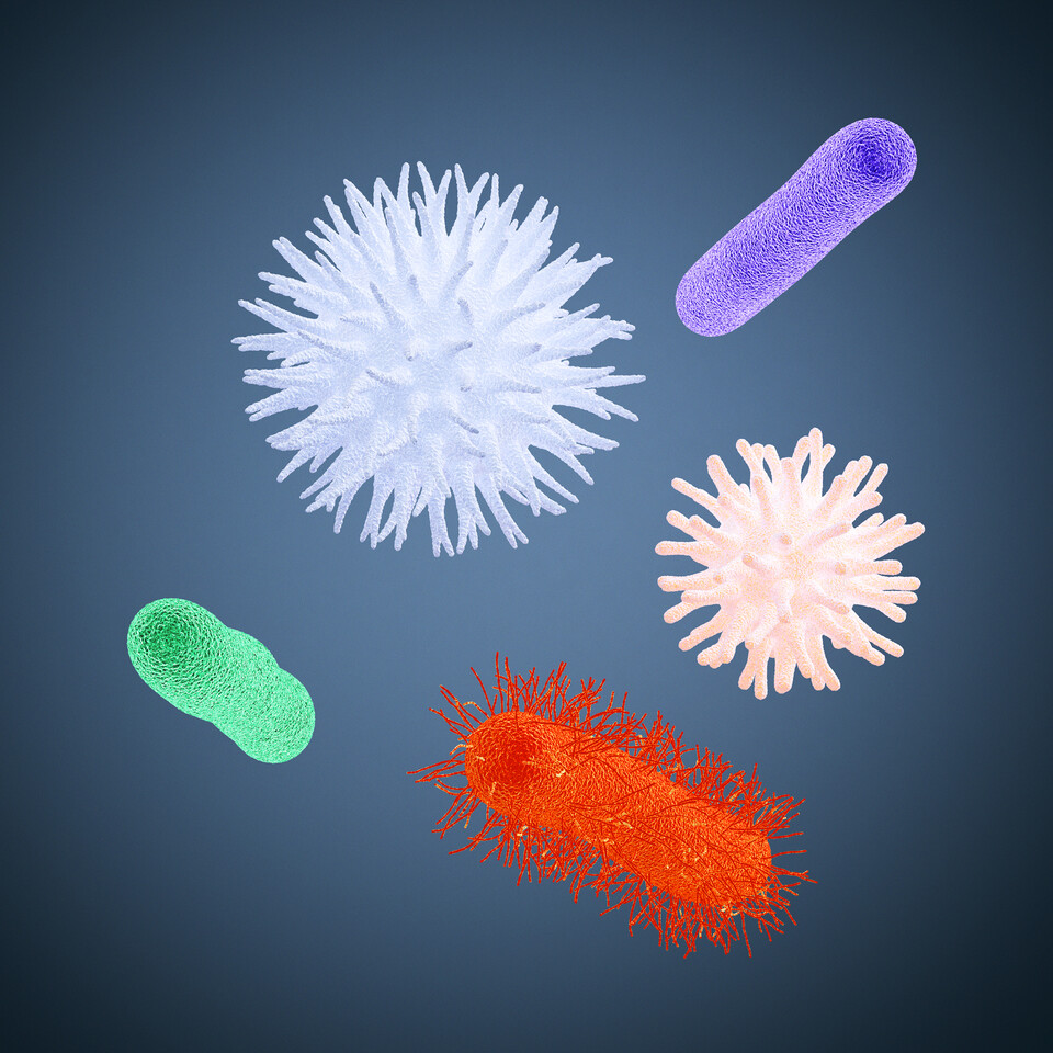 241108_microbiome_bonhoefferpagani