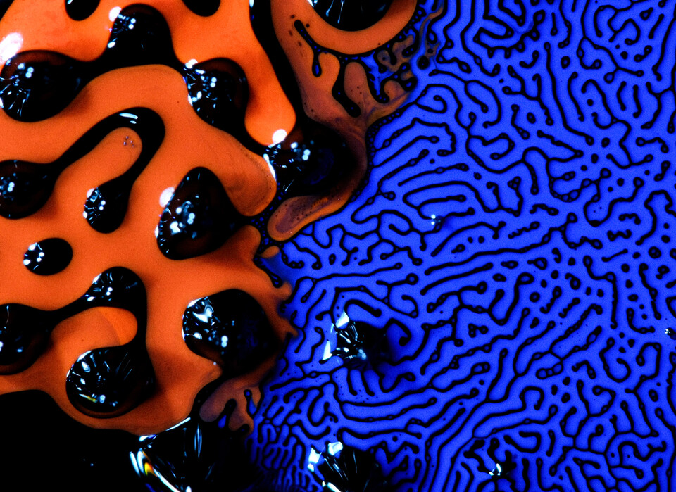 exhibition_teaser