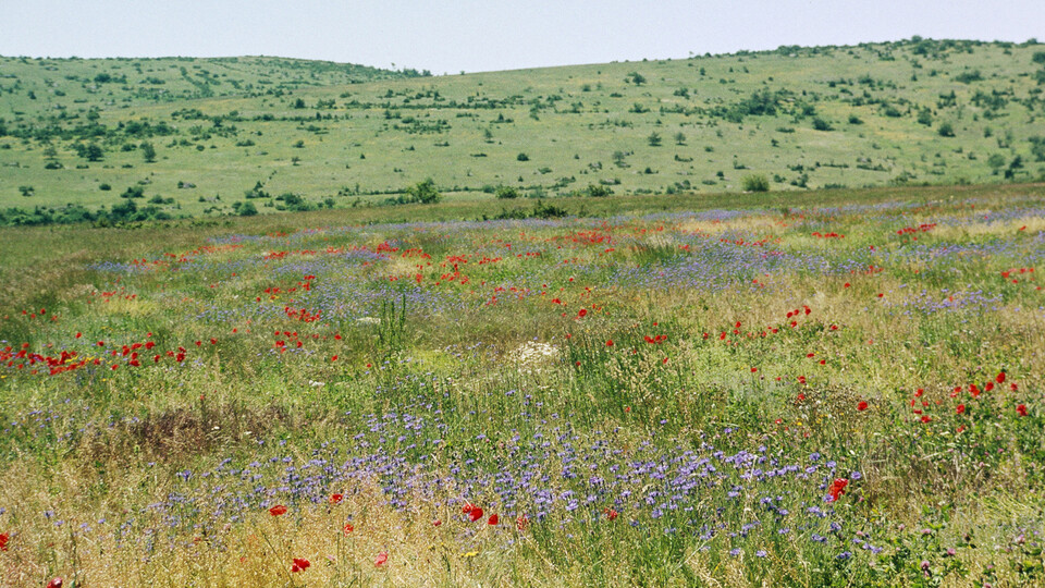 ak_00060-screen_landscape