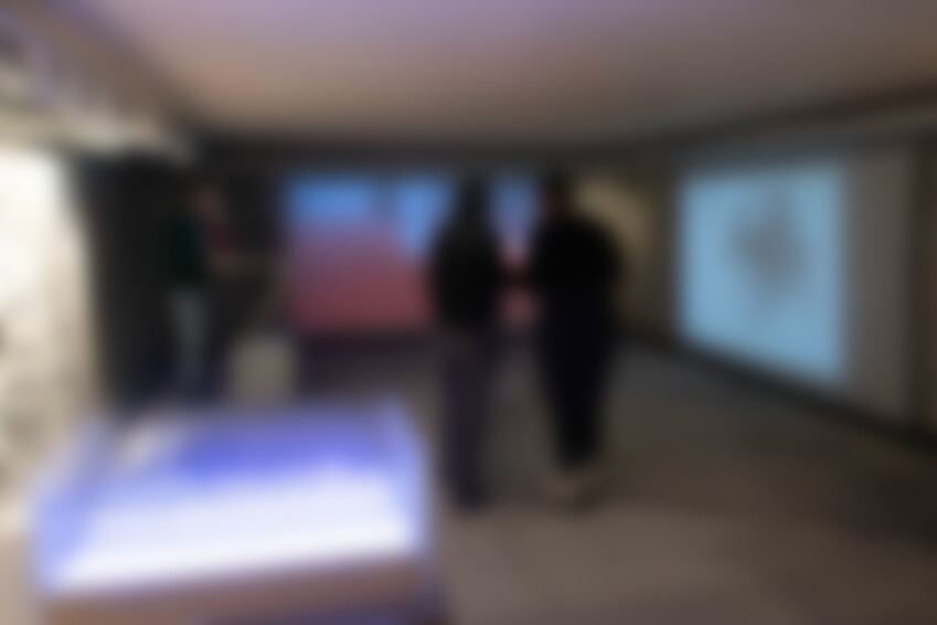 23-24_inge-exh_vorauswahl-4-1007x566-blur1