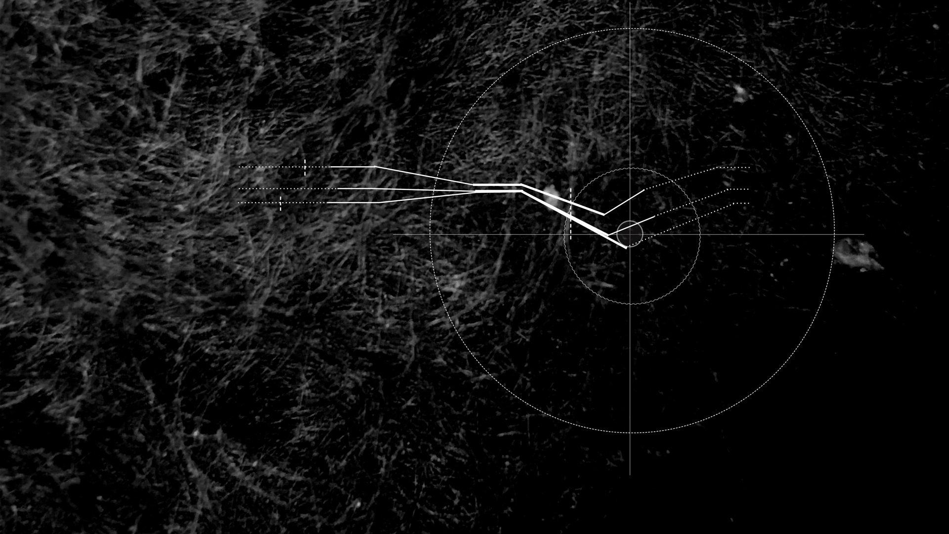 changingshapes_web_page