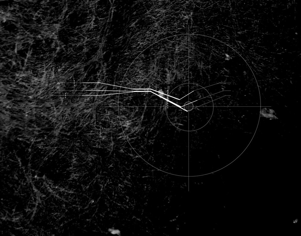 changingshapes_web_card