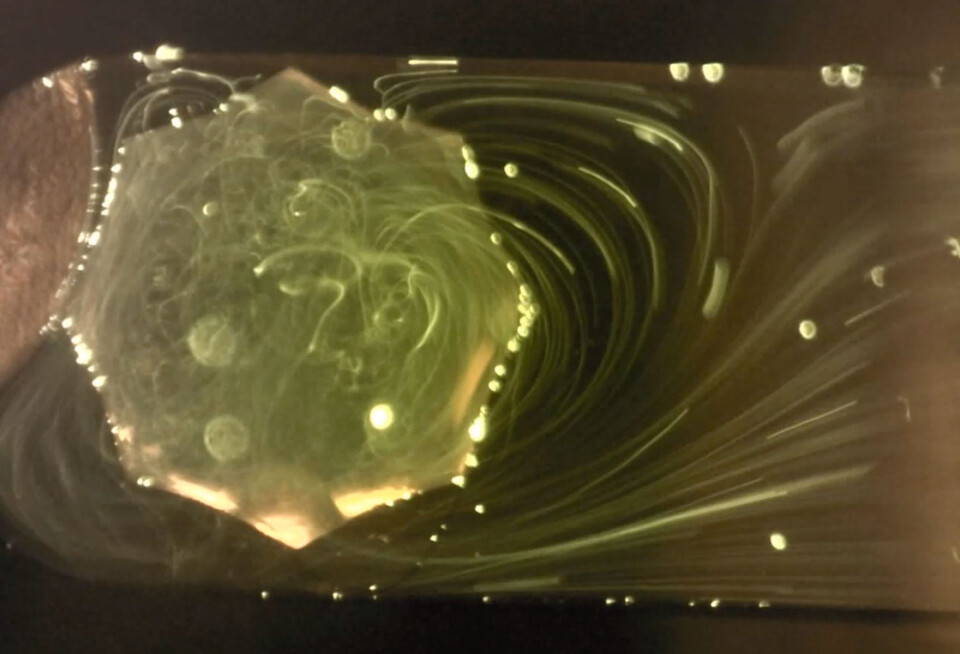 projektbild_tuncayalan_web_card