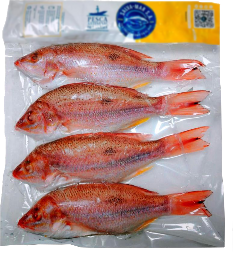 redsnapper_mercury_cut