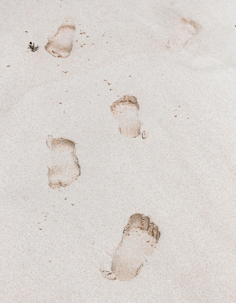 sincerely-media-hfpsi37yc8k-unsplash_red